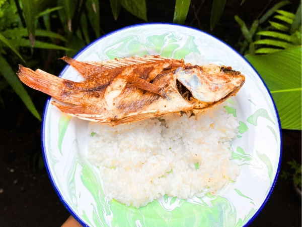 Fried Red Snapper with Rice